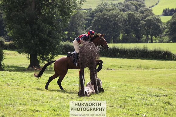 Hurworth HedgeHop 276
