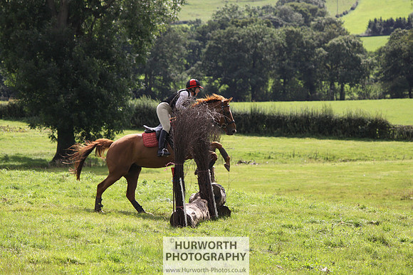 Hurworth HedgeHop 280