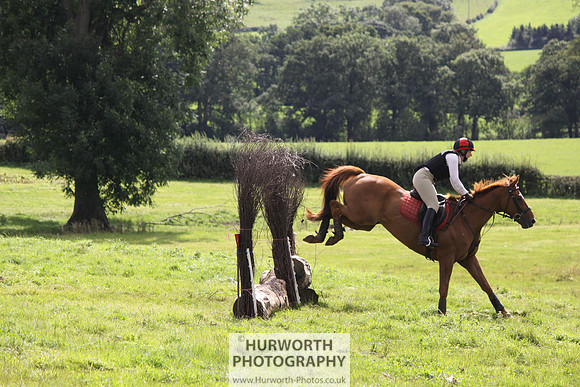 Hurworth HedgeHop 282