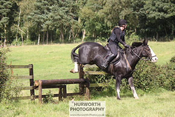 Hurworth HedgeHop 284