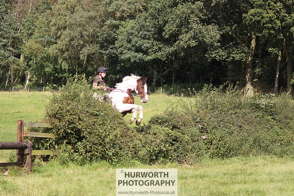 Hurworth HedgeHop 285
