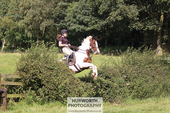 Hurworth HedgeHop 286
