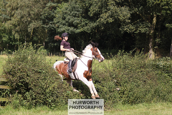 Hurworth HedgeHop 287