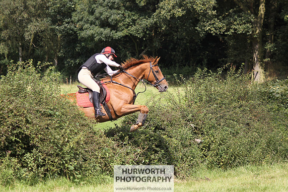Hurworth HedgeHop 289