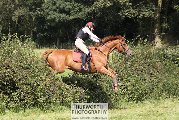 Hurworth HedgeHop 290