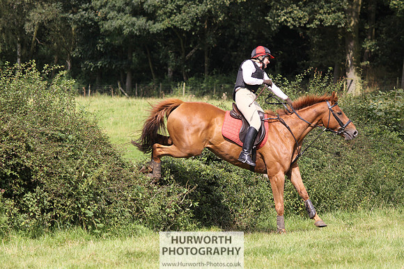 Hurworth HedgeHop 291