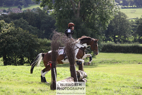 Hurworth HedgeHop 294