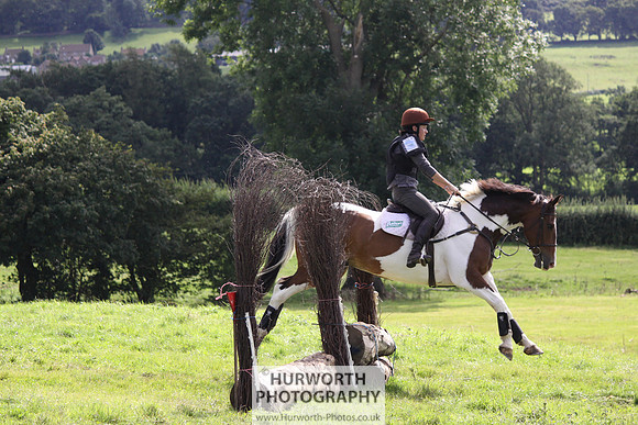 Hurworth HedgeHop 295