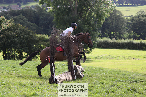Hurworth HedgeHop 300