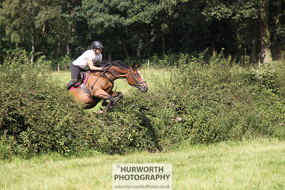 Hurworth HedgeHop 312