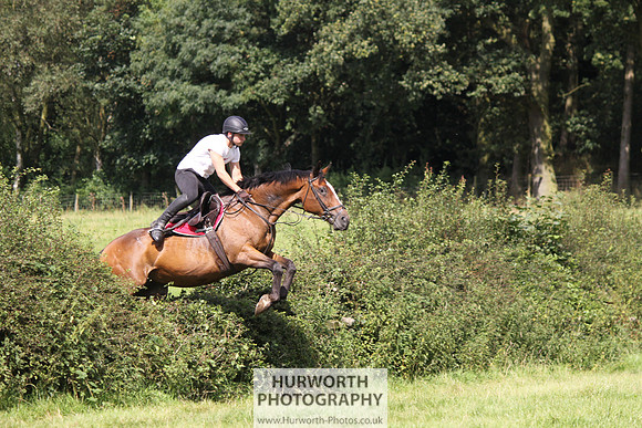 Hurworth HedgeHop 313
