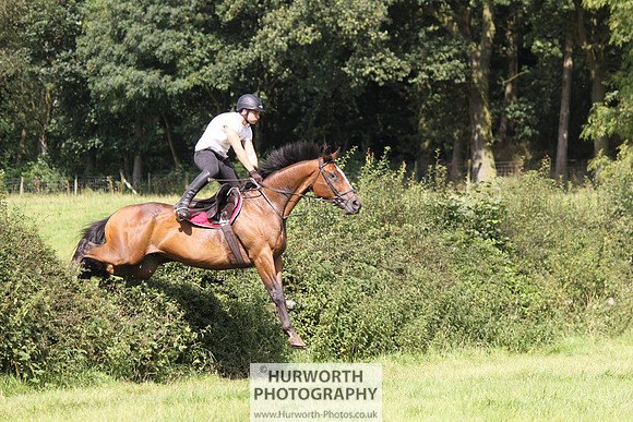 Hurworth HedgeHop 314