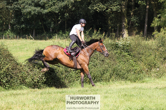 Hurworth HedgeHop 315