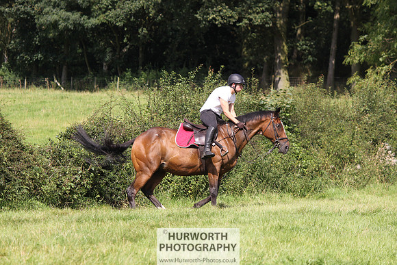 Hurworth HedgeHop 316