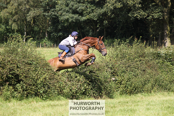 Hurworth HedgeHop 317