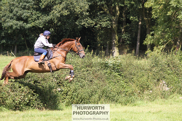 Hurworth HedgeHop 318