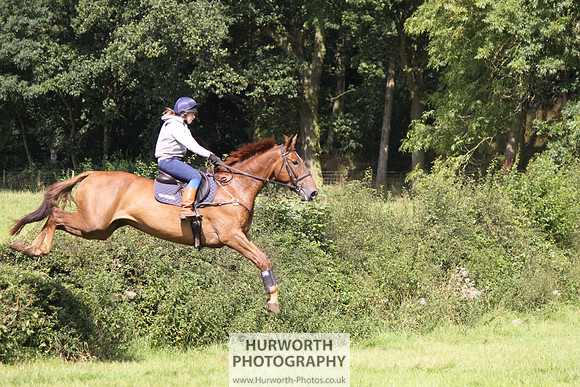 Hurworth HedgeHop 319