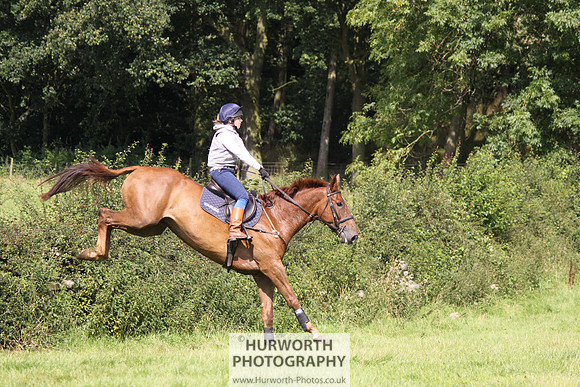 Hurworth HedgeHop 320
