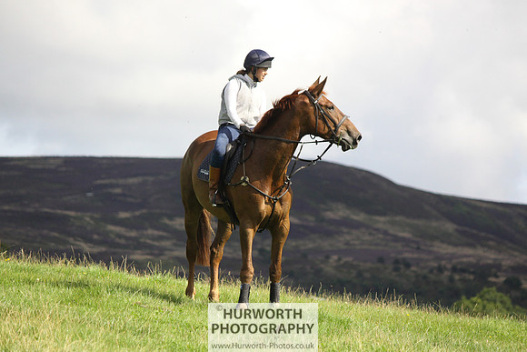 Hurworth HedgeHop 321