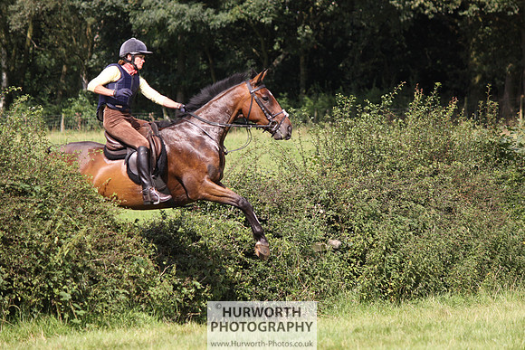 Hurworth HedgeHop 322