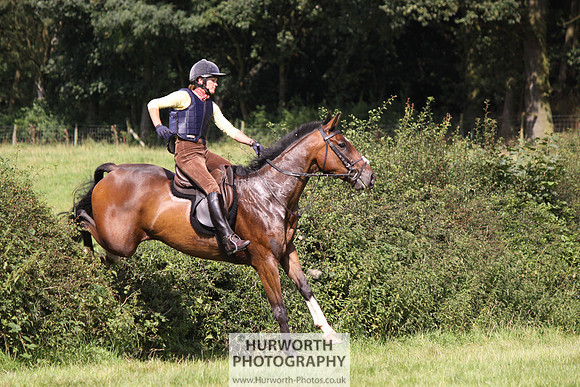 Hurworth HedgeHop 323