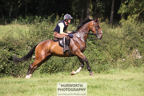 Hurworth HedgeHop 324