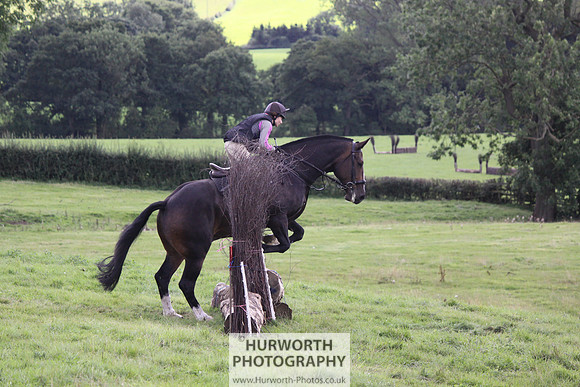 Hurworth HedgeHop 330