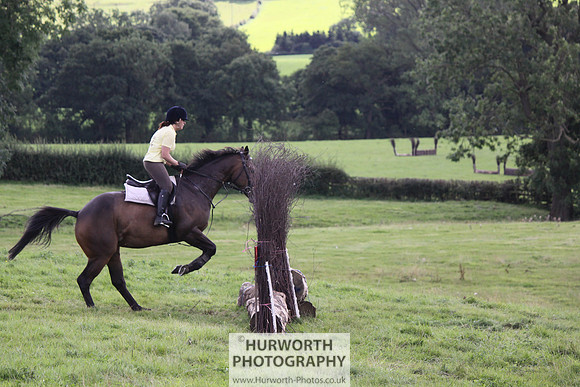 Hurworth HedgeHop 331