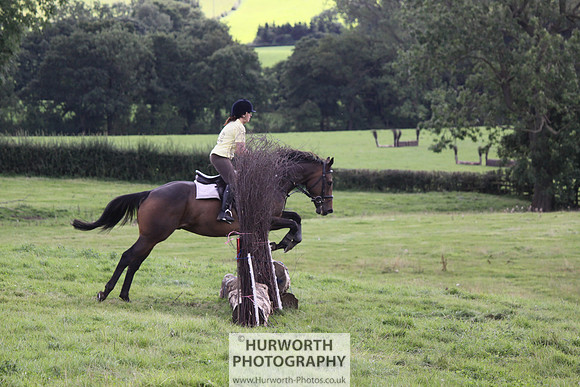Hurworth HedgeHop 332