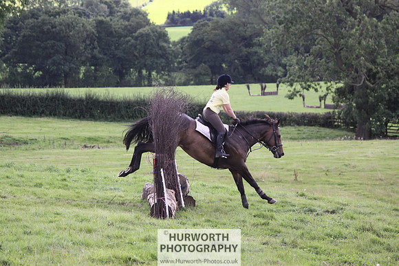 Hurworth HedgeHop 333