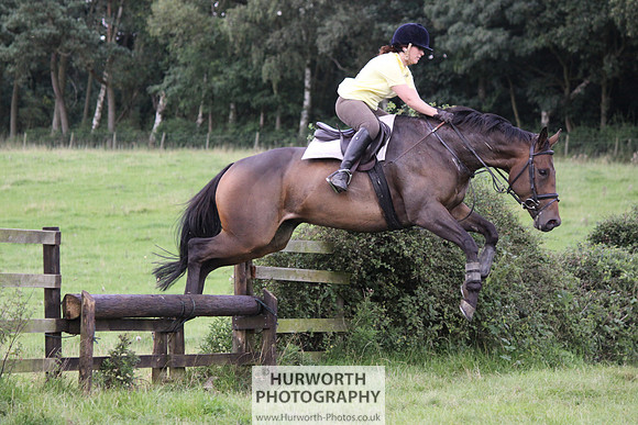 Hurworth HedgeHop 336