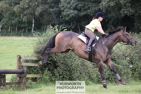 Hurworth HedgeHop 337