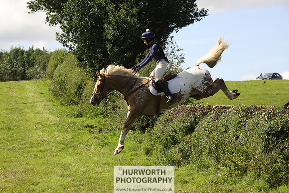 Hurworth HedgeHop 376
