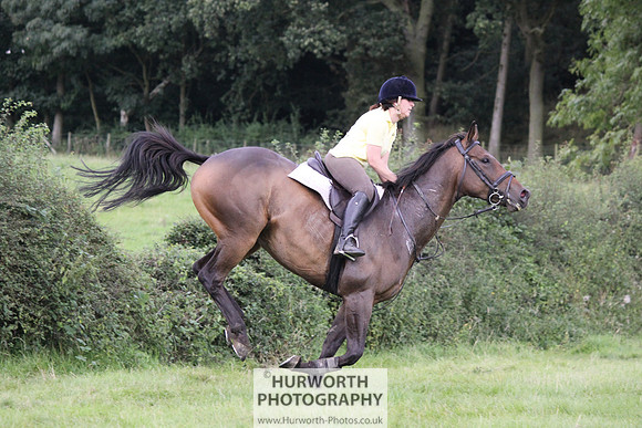 Hurworth HedgeHop 338