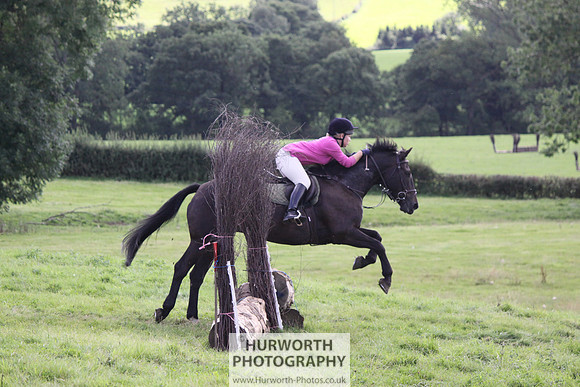 Hurworth HedgeHop 339