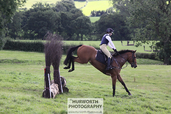 Hurworth HedgeHop 342