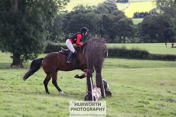 Hurworth HedgeHop 346