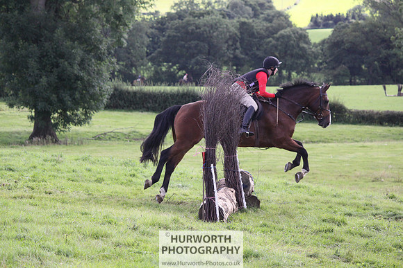 Hurworth HedgeHop 347