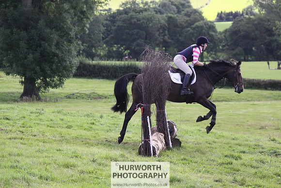 Hurworth HedgeHop 348