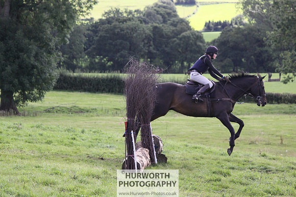Hurworth HedgeHop 350