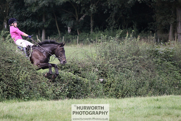 Hurworth HedgeHop 351