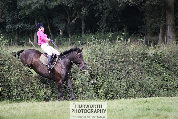 Hurworth HedgeHop 352