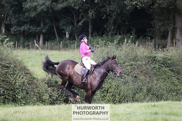 Hurworth HedgeHop 353
