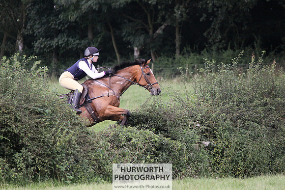 Hurworth HedgeHop 354