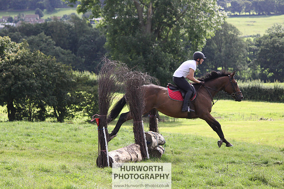 Hurworth HedgeHop 301