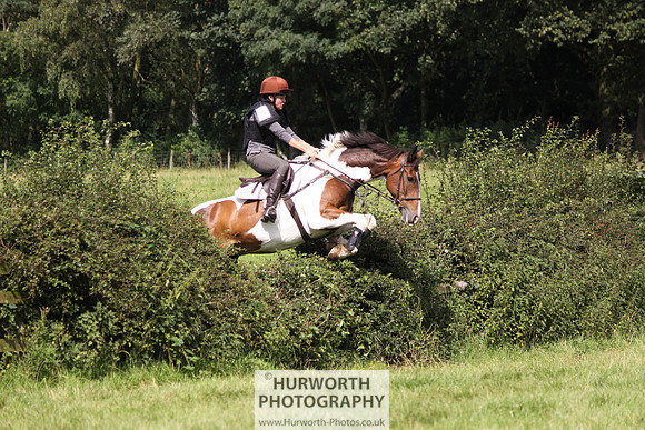 Hurworth HedgeHop 304