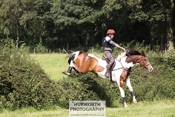 Hurworth HedgeHop 306