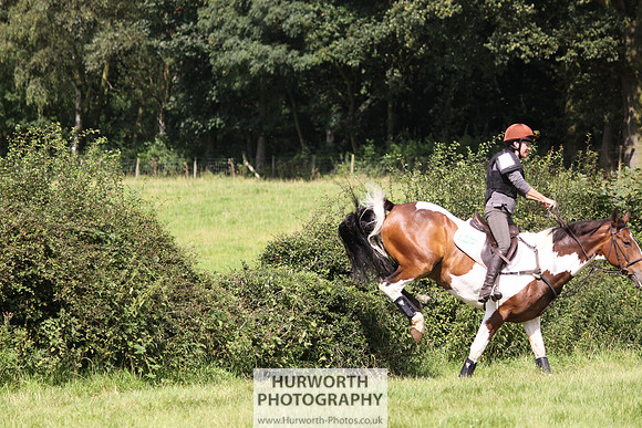 Hurworth HedgeHop 307