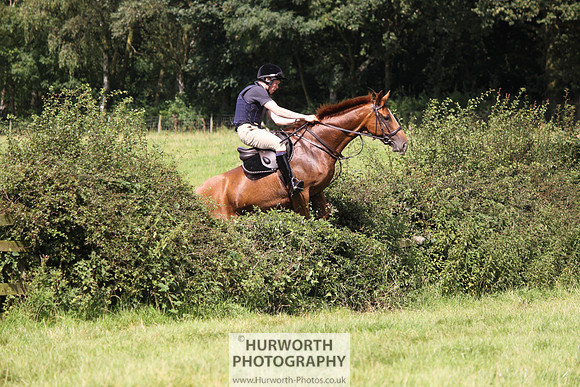 Hurworth HedgeHop 308