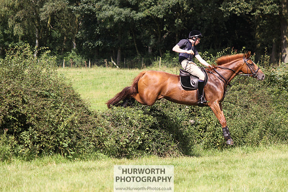 Hurworth HedgeHop 310